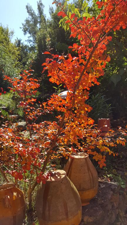 Residence Les Rossignols Roussillon en Isere 外观 照片
