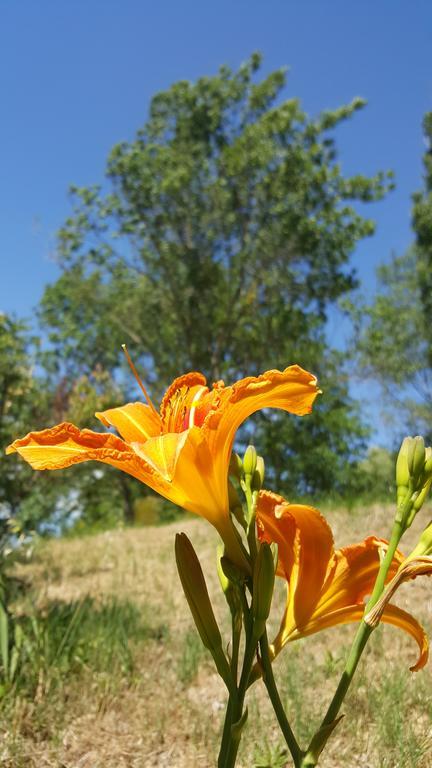 Residence Les Rossignols Roussillon en Isere 外观 照片