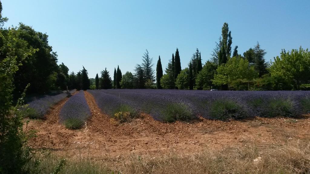 Residence Les Rossignols Roussillon en Isere 外观 照片