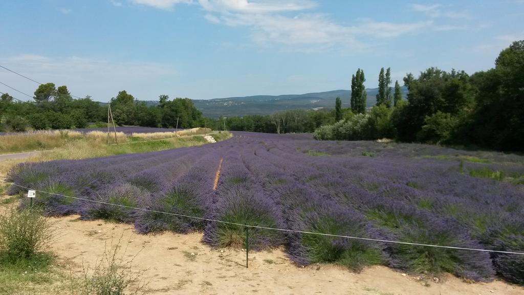 Residence Les Rossignols Roussillon en Isere 外观 照片